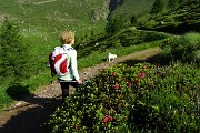 12 Primo tratto di comoda sterrata